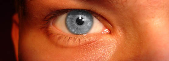 ���C���C���[�W�摜